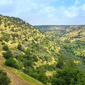 Nahal Meshushim Reserve, part of the Yehudiya Forest Nature Reserve, central Golan