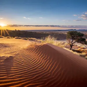 Namib-Naukluft National Park Print: Sunset Dune Ripples Namib-Naukluft National Park Print: Sunset Dune Ripples