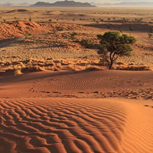 Namibia, Namib Naukluft National Park