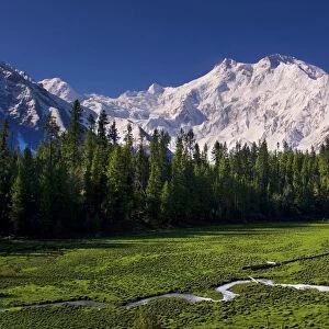 Nanga Parbat (Nangaparbat Peak)