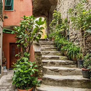 Narrow Street of Vernazza, Cinque Terre, UNESCO World Heritage Site, Liguria, Italy