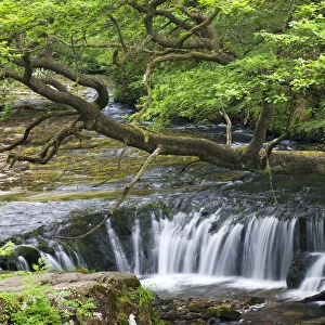 The Nedd Fechan River at Horseshoe Falls, Brecon Beacons National Park, Mid Glamorgan