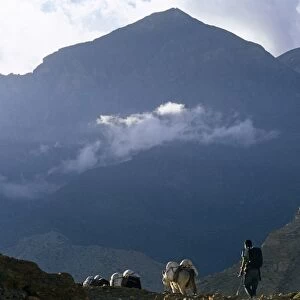 Nepal, Himalaya, Mustang. Trekkers ponies proceed along the stark trail alongside a stone cairn near Chele village