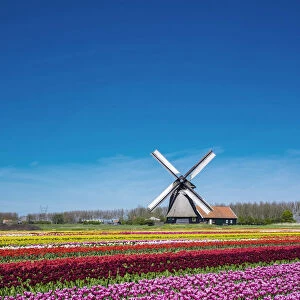Netherlands, North Holland, Schermerhorn. Windmill, polder mill from Schermerhorn group