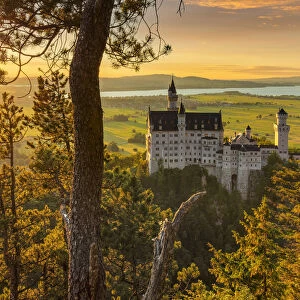 Neuschwanstein Castle, Schwangau, Allgau, Bavaria, Germany