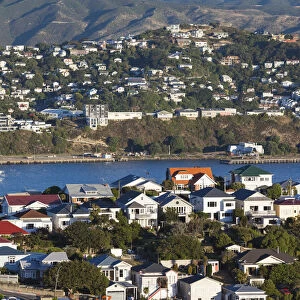 New Zealand, North Island, Wellington, elevated view of suburbs from Mt. Victoria