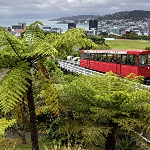 New Zealand, North Island, Wellington, Capital City, Cable Car