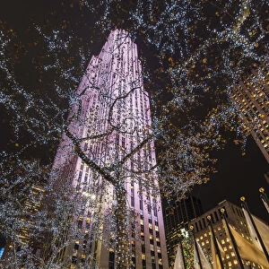 Night low angle view of trees wrapped with Christmas lights and Rockefeller Center