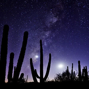 Night sky, La Ventanaz, Baja California, Mexico