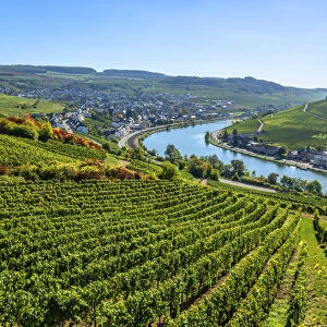 Nittel, Mosel valley, Rhineland-Palatinate, Germany