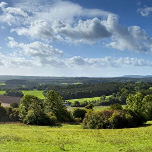 North Downs from Newlands Corner, Nr. Guildford, Surrey, England