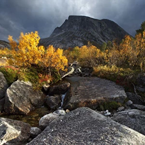 Norway, Nordland, Rocky mountains and autumn colors in Nordland region, northern Norway