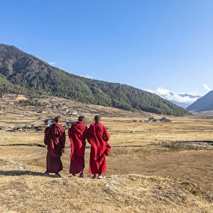 Novice Monks (Child Monks) in Phobjikha Valley, Bhutan