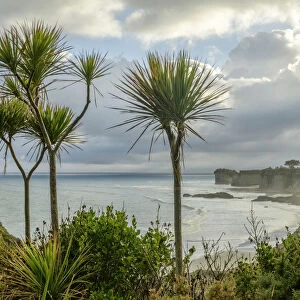 Oceania, New Zealand, Aotearoa, South Island, West Coast, coast near Westport