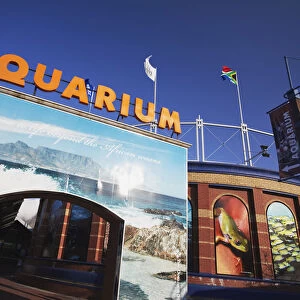 Two Oceans Aquarium, Victoria and Alfred Waterfront, Cape Town, Western Cape, South
