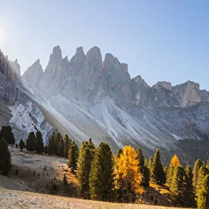 Odle peaks (Geisler gruppe) at sunrise, in autumn, Funes valley, Dolomites, Italy