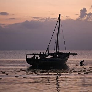 Off-loading a cargo of edible oil from a dhow from Zanzibar at dawn