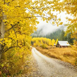 Old Barn in Autumn, Wenatchee National Forest, Washington, USA