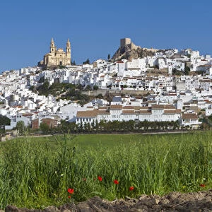 Olvera, Olvera, Cadiz Province, Andalusia, Spain