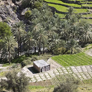 Oman, Dakhiliyah Governate, Jebel Hajar, Balad Sayt (Bilad Sayt)
