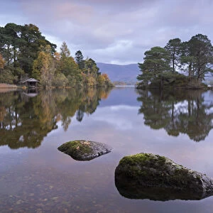 Otter Island near the southern shores of Derwent Water, Lake District, Cumbria, England