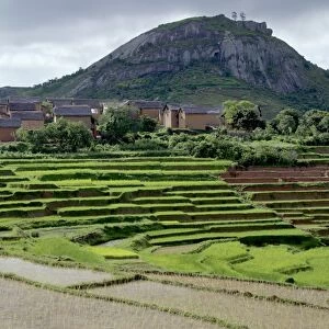 Paddy fields close to a small village near Fianarantsoa