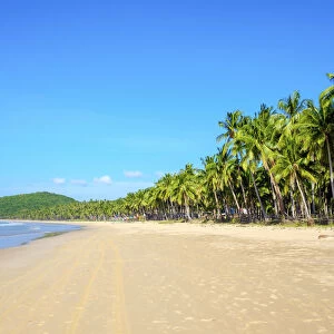 Palm-lined white sand beach at Nacpan Beach, El Nido, Palawan, Philippines