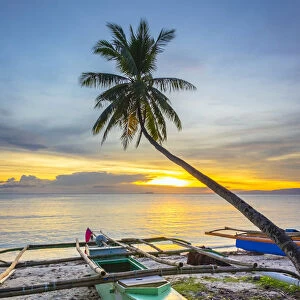 Palm tree and fishing boats on Paliton Beach at sunset, San Juan, Siquijor Island