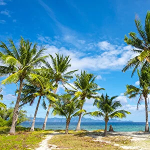 Palm trees and blue sky on Malcapuya Island, Culion, Palawan, Philippines
