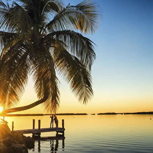 Palm Trees & Jetty at Sunset, Islamorada, Florida Keys, USA