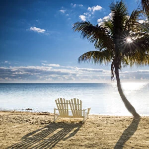 Palm Trees & Love Seat, Islamorada, Florida Keys, USA