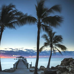 Palm Trees & Pier at Dawn, Islamorada, Florida Keys, USA
