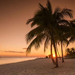 Palm Trees at Sunset, Key West, Florida, USA