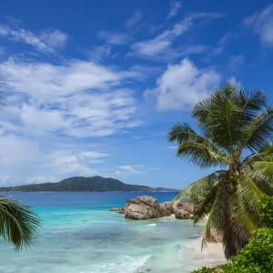 Palm trees and tropical beach, La Digue, Seychelles