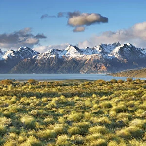 Pampa landscape at Lago Viedma - Argentina, Santa Cruz, Los Glaciares, El Chalten