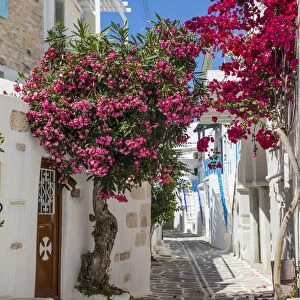 Parikia, Paros, Cyclade Islands, Greece