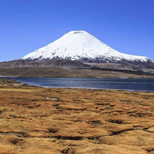 Parinacota Volcano and Chungara Lake in Lauca National Park, Arica & Parinacota Region