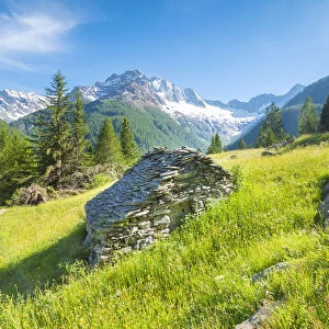 Pastures of Ca Novi, Valmalenco, Valtellina, province of Sondrio, Lombardy, Italian alps