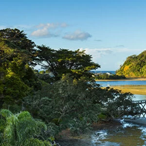 Pataua, Northland, North Island, New Zealand, Australasia