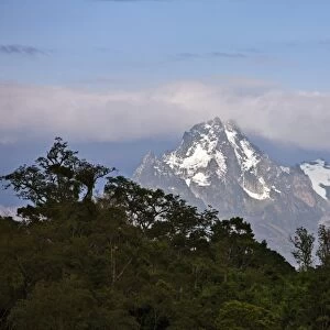 The peaks of Mount Kenya from the Aberdare National Park. Mount Kenya is Africas second highest mountain rising to a height of