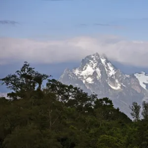 The peaks of Mount Kenya from the Aberdare National Park. Mount Kenya is Africas second highest mountain rising to a height of