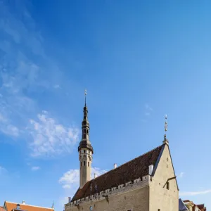 People Dancing and Singing in front of the Town Hall at Raekoja plats, Old Town Market Square, Tallinn, Estonia