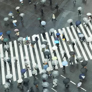 People walking across Shibuya Crossing, Shibuya, Tokyo, Japan