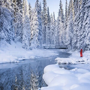 Person in Winter Landscape, Emerald Lake, Yoho National Park, British Columbia, Canada
