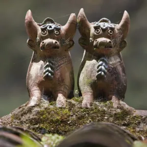 Peru, Clay bulls are common rooftop ornaments throughout Peru. Said to bring good luck