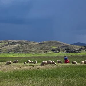 Peru, A woman looks after her sheep along the shores of Lake Titicaca as rain threatens
