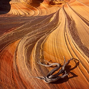 Petrified Sand Dunes, Colorado Plateau, Arizona, USA