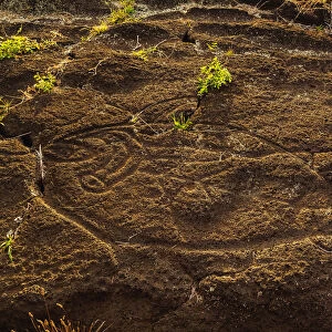 Petroglyphs in Papa Tataku Poki nearby Tongariki, Rapa Nui National Park, Easter Island