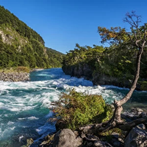 Petrohue River, Petrohue, Llanquihue Province, Los Lagos Region, Chile