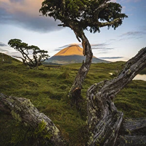 Pico island, Azores, Portugal. Mount Pico and surrounding landscape